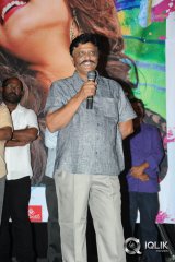 Pyaar Mein Padipoyane Movie Platinum Disc Function